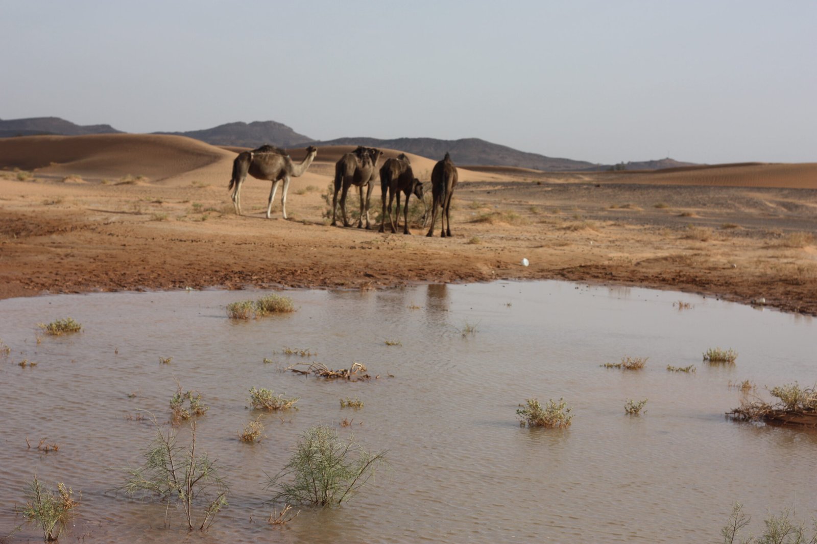 morocco journey guide